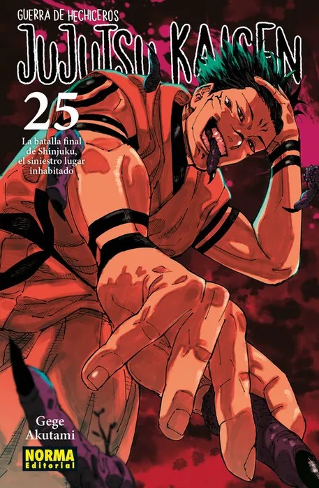 Portada de Jujutsu Kaisen 25 - Gege Akutami