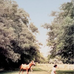 Portada del libro ¿Por qué son tan lindos los caballos? de Julieta Correa