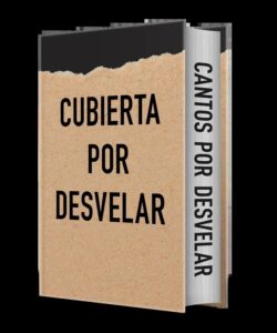 Portada de Sin título Empíreo de Rebecca Yarros